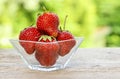 Fresh ripe strawberries in glass bowl Royalty Free Stock Photo