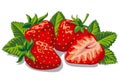 Fresh ripe strawberries Royalty Free Stock Photo