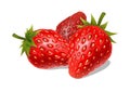 Fresh ripe strawberries on a white background Royalty Free Stock Photo