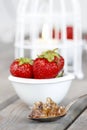 Fresh ripe strawberries in white ceramic bowl Royalty Free Stock Photo