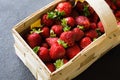 Fresh ripe strawberries in a wooden basket on a dark background. Organic juicy berries Royalty Free Stock Photo