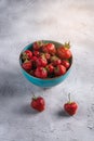 Fresh ripe strawberry fruits in blue bowl, summer vitamin berries on grey stone background Royalty Free Stock Photo