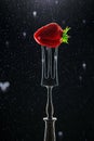 Fresh ripe strawberry in a vintage fork on black background Royalty Free Stock Photo