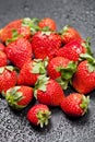 Fresh ripe strawberry with water drops on black Royalty Free Stock Photo