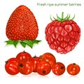 Fresh ripe summer berries.