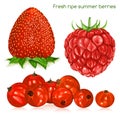 Fresh ripe summer berries. Royalty Free Stock Photo