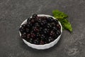 Fresh ripe sweet black currant Royalty Free Stock Photo