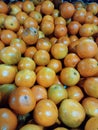 fresh ripe sweet juicy oranges for sale in the market. Eaten raw, in jam, squeezed in juice. Royalty Free Stock Photo