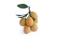 Fresh ripe Sweet Yellow Marian Plum or Plum Mango Thai people call Ma Yong Chit bunch on white background.