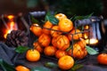 Fresh ripe tangerines with leaves