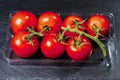 Fresh ripe tomato on a vine in plastic tray on stone surface. Organic product. Food supply chain industry. High quality vegetable