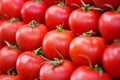 Fresh ripe tomatoes Royalty Free Stock Photo