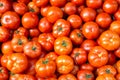 Fresh and ripe tomatoes