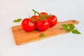 Fresh and ripe tomatoes and basil on cutting board Royalty Free Stock Photo