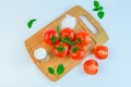 Fresh and ripe tomatoes, basil, salt on cutting board Royalty Free Stock Photo