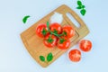 Fresh and ripe tomatoes, basil, salt on cutting board Royalty Free Stock Photo