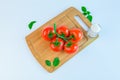 Fresh and ripe tomatoes, basil, salt on cutting board Royalty Free Stock Photo