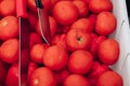 Fresh ripe tomatoes in basket.Close-up of delicious juicy fresh tomatoes collected in white plastic basket. Harvest Royalty Free Stock Photo