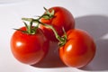 Fresh ripe tomatoes isolated on white background Royalty Free Stock Photo