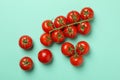 Fresh ripe tomatoes on mint background top view Royalty Free Stock Photo