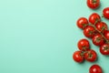 Fresh ripe tomatoes on mint background top view Royalty Free Stock Photo