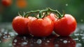 Fresh ripe tomatoes on the vine with water droplets on a dark reflective surface. Generative AI Royalty Free Stock Photo