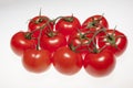 Fresh ripe tomatoes on the vine with water droplets isolated on white background Royalty Free Stock Photo