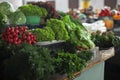 Fresh ripe vegetables and herbs on counter at market Royalty Free Stock Photo