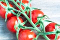Fresh ripe vine tomatoes with a shallow depth of field on a wood