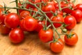 Fresh and ripe vine tomatoes, tomato on the vine Royalty Free Stock Photo