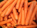 fresh washed carrots of the new crop