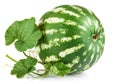 Fresh ripe watermelon with green leaves Royalty Free Stock Photo
