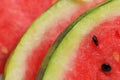 Fresh ripe watermelon slices Royalty Free Stock Photo