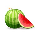 Fresh ripe watermelon on white background, isolated. Exotic summer fruit, vector illustration in flat style Royalty Free Stock Photo