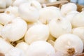 Fresh ripe white onions in market or field. harvest, food and garden concept. Royalty Free Stock Photo