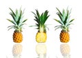 Fresh ripe whole and cut pineapple isolated on white background. Exotic tropical fruit Royalty Free Stock Photo