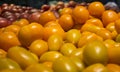 Fresh ripe yellow delicious tomatoes from market Royalty Free Stock Photo