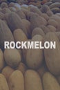 Fresh ripe yellow sweet melons with text: ROCKMELON