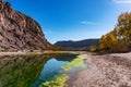 Fresh river in Beautiful Desert oasis nature landscape in Oasis De Fint near Ourzazate in Morocco, North Africa