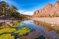 Fresh river in Beautiful Desert oasis nature landscape in Oasis De Fint near Ourzazate in Morocco, North Africa