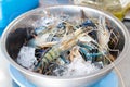 Fresh river crayfish on the ice in bowl