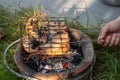 Fresh river prawn grilled  on Charcoal stove. Local food. Cooking at home. selective focus. Big shrimps Royalty Free Stock Photo