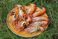 Fresh river prawn grilled on large dishes Local food. Cooking at home. selective focus. Big shrimps Royalty Free Stock Photo