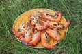 Fresh river prawn grilled on large dishes Local food. Cooking at home. selective focus. Big shrimps Royalty Free Stock Photo