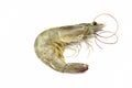 Fresh river prawns, moist body