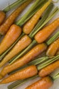 Fresh, roasted carrot with green tails