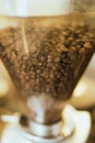 Fresh roasted coffee bean Royalty Free Stock Photo