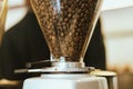 Fresh roasted coffee bean Royalty Free Stock Photo