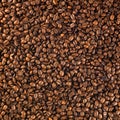 Fresh roasted coffee beans