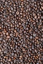 Fresh roasted coffee beans Royalty Free Stock Photo